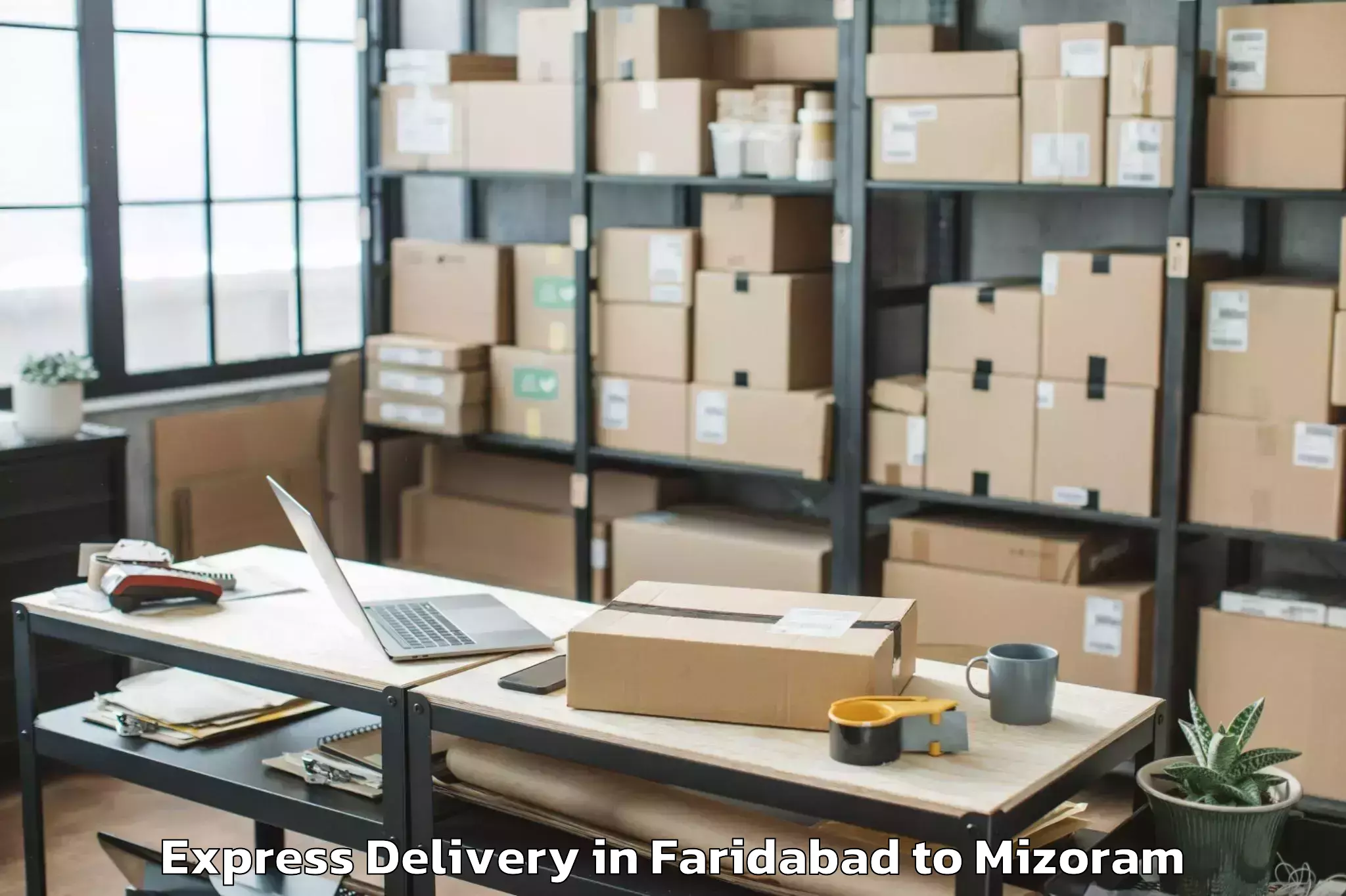 Leading Faridabad to Thenzawl Express Delivery Provider